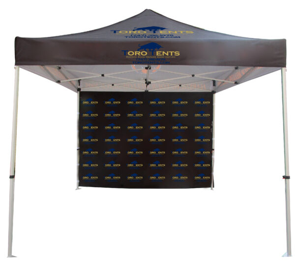 10x10 Custom Canopy w/Backwall